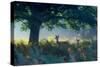 Red Deer Does on an Early Autumn Morning in Richmond Park-Alex Saberi-Stretched Canvas