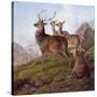 Red Deer in a Highland Landscape, 1872-Charles Jones-Stretched Canvas