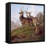 Red Deer in a Highland Landscape, 1872-Charles Jones-Framed Stretched Canvas