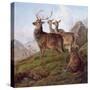 Red Deer in a Highland Landscape, 1872-Charles Jones-Stretched Canvas