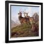 Red Deer in a Highland Landscape, 1872-Charles Jones-Framed Giclee Print