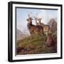 Red Deer in a Highland Landscape, 1872-Charles Jones-Framed Giclee Print