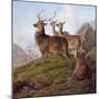 Red Deer in a Highland Landscape, 1872-Charles Jones-Mounted Giclee Print