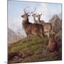 Red Deer in a Highland Landscape, 1872-Charles Jones-Mounted Giclee Print