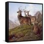 Red Deer in a Highland Landscape, 1872-Charles Jones-Framed Stretched Canvas