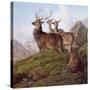 Red Deer in a Highland Landscape, 1872-Charles Jones-Stretched Canvas