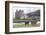 Red Deer, Lochranza, Isle of Arran, Scotland, United Kingdom, Europe-Ann and Steve Toon-Framed Photographic Print