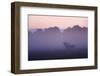 Red Deer Stag Calling During Rut, Light Mist at Sunrise, Klampenborg Dyrehaven, Denmark-Möllers-Framed Photographic Print