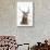 Red Deer Stag (Cervus Elaphus) Portrait in Snowy Moorland, Cairngorms Np, Scotland, UK, December-Mark Hamblin-Stretched Canvas displayed on a wall