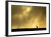 Red Deer Stag (Cervus Elaphus) Silhouetted Against Sky at Dusk, Cheshire, October 2014-Ben Hall-Framed Photographic Print