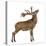 Red Deer Stag in Front of a White Background-Life on White-Stretched Canvas