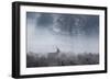 Red Deer Stag Makes His Way Through a Misty Landscape in Richmond Park-Alex Saberi-Framed Photographic Print