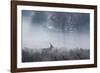 Red Deer Stag Makes His Way Through a Misty Landscape in Richmond Park-Alex Saberi-Framed Photographic Print