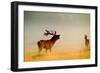 Red Deer Stag Roaring in Mist at Sunrise-null-Framed Photographic Print