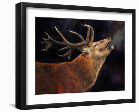 Red Deer Stag winter breath-David Stribbling-Framed Art Print