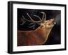 Red Deer Stag winter breath-David Stribbling-Framed Art Print
