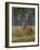 Red Deer Stag-null-Framed Photographic Print