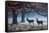 Red Deer Stags in a Forest with Colorful Fall Foliage-Alex Saberi-Framed Stretched Canvas