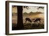 Red Deer Stags Rutting at Sunrise in a Misty Landscape-Alex Saberi-Framed Photographic Print