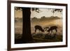 Red Deer Stags Rutting at Sunrise in a Misty Landscape-Alex Saberi-Framed Photographic Print