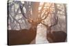 Red Deer Stags Stand in a Forest on a Misty Morning-Alex Saberi-Stretched Canvas