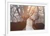 Red Deer Stags Stand in a Forest on a Misty Morning-Alex Saberi-Framed Photographic Print