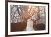 Red Deer Stags Stand in a Forest on a Misty Morning-Alex Saberi-Framed Photographic Print