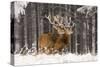 Red Deer Two Together in Winter Snow-null-Stretched Canvas