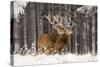 Red Deer Two Together in Winter Snow-null-Stretched Canvas