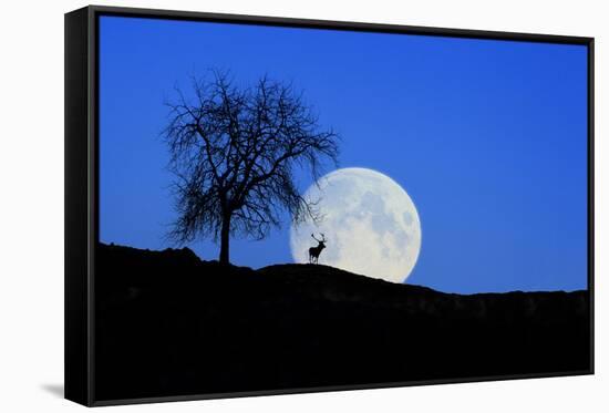 Red Deer with Moonrise (M)-Ludwig Mallaun-Framed Stretched Canvas