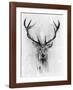 Red Deer-Alexis Marcou-Framed Art Print