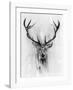 Red Deer-Alexis Marcou-Framed Art Print