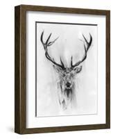 Red Deer-Alexis Marcou-Framed Art Print