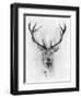 Red Deer-Alexis Marcou-Framed Art Print