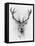 Red Deer-Alexis Marcou-Framed Stretched Canvas