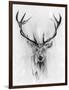 Red Deer-Alexis Marcou-Framed Premium Giclee Print