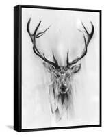 Red Deer-Alexis Marcou-Framed Stretched Canvas