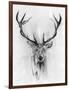 Red Deer-Alexis Marcou-Framed Art Print