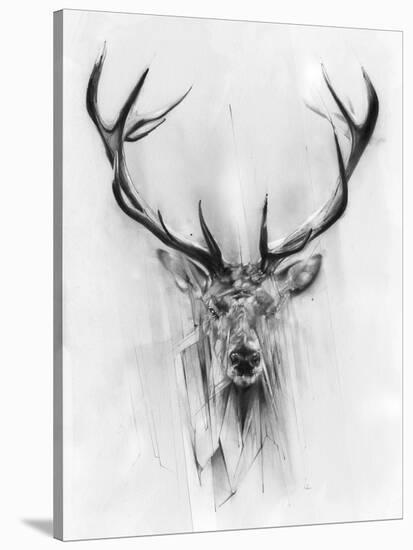 Red Deer-Alexis Marcou-Stretched Canvas
