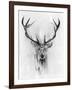 Red Deer-Alexis Marcou-Framed Art Print