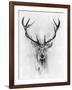 Red Deer-Alexis Marcou-Framed Art Print