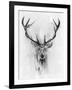 Red Deer-Alexis Marcou-Framed Art Print