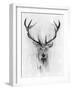 Red Deer-Alexis Marcou-Framed Art Print