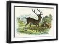 Black Frame