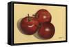 Red Delicious-Norman Wyatt Jr.-Framed Stretched Canvas