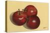 Red Delicious-Norman Wyatt Jr.-Stretched Canvas