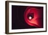 Red Desert-Marco Tagliarino-Framed Photographic Print
