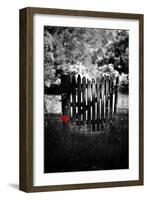 Red Detail-Philippe Sainte-Laudy-Framed Photographic Print