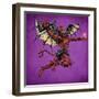 Red Devil With Wings-FlyLand Designs-Framed Giclee Print