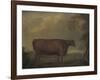 Red Devon Heifers in landscape, 1812-Thomas Weaver-Framed Giclee Print